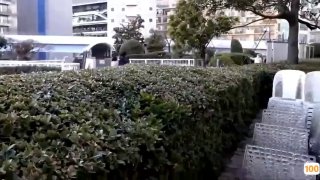 《成人免费观看激情刺激视频在线》高清视频在线观看-星空影视